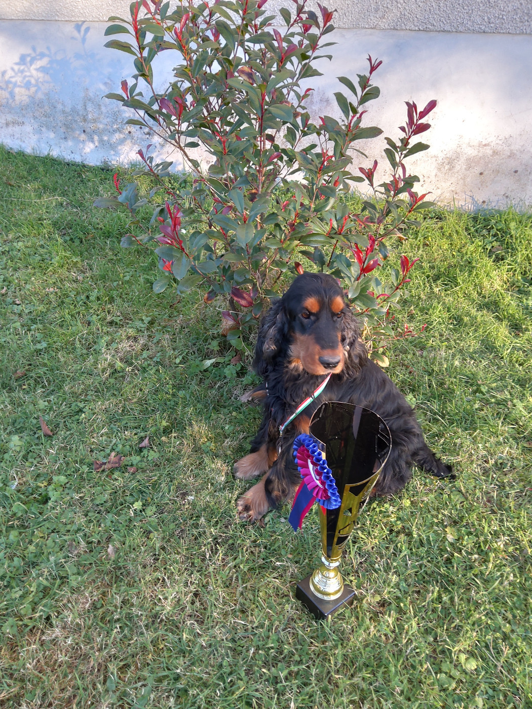 TR. Sun du Tertre de la Pommeraie