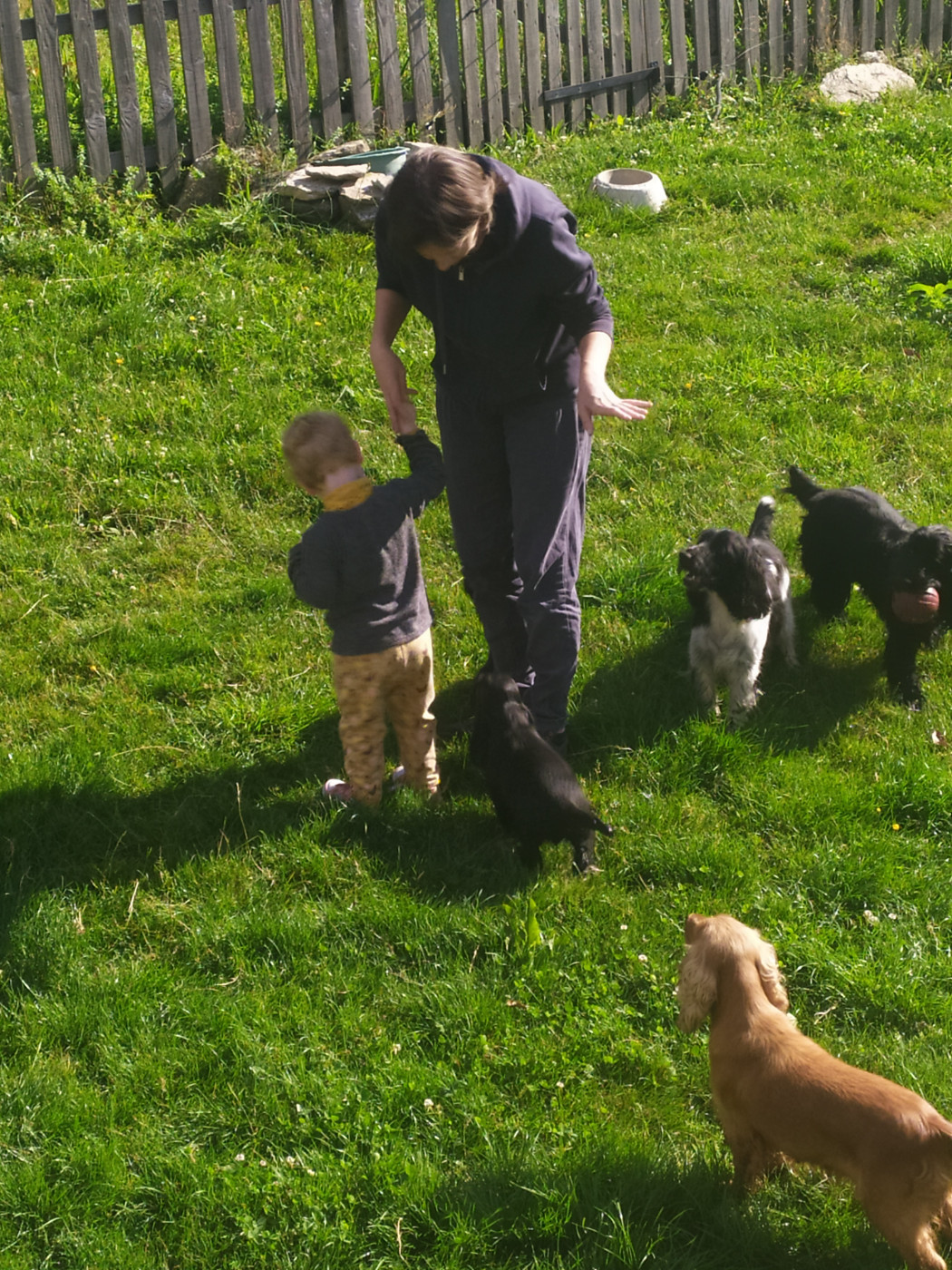 du Tertre de la Pommeraie